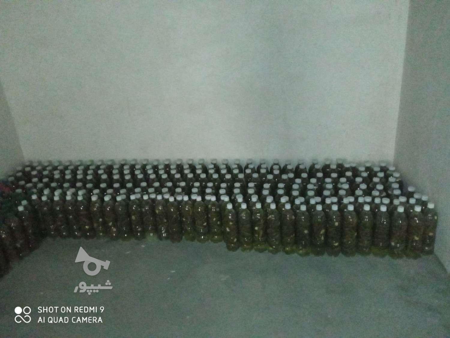 خیارشور اعلی بندانگشتی