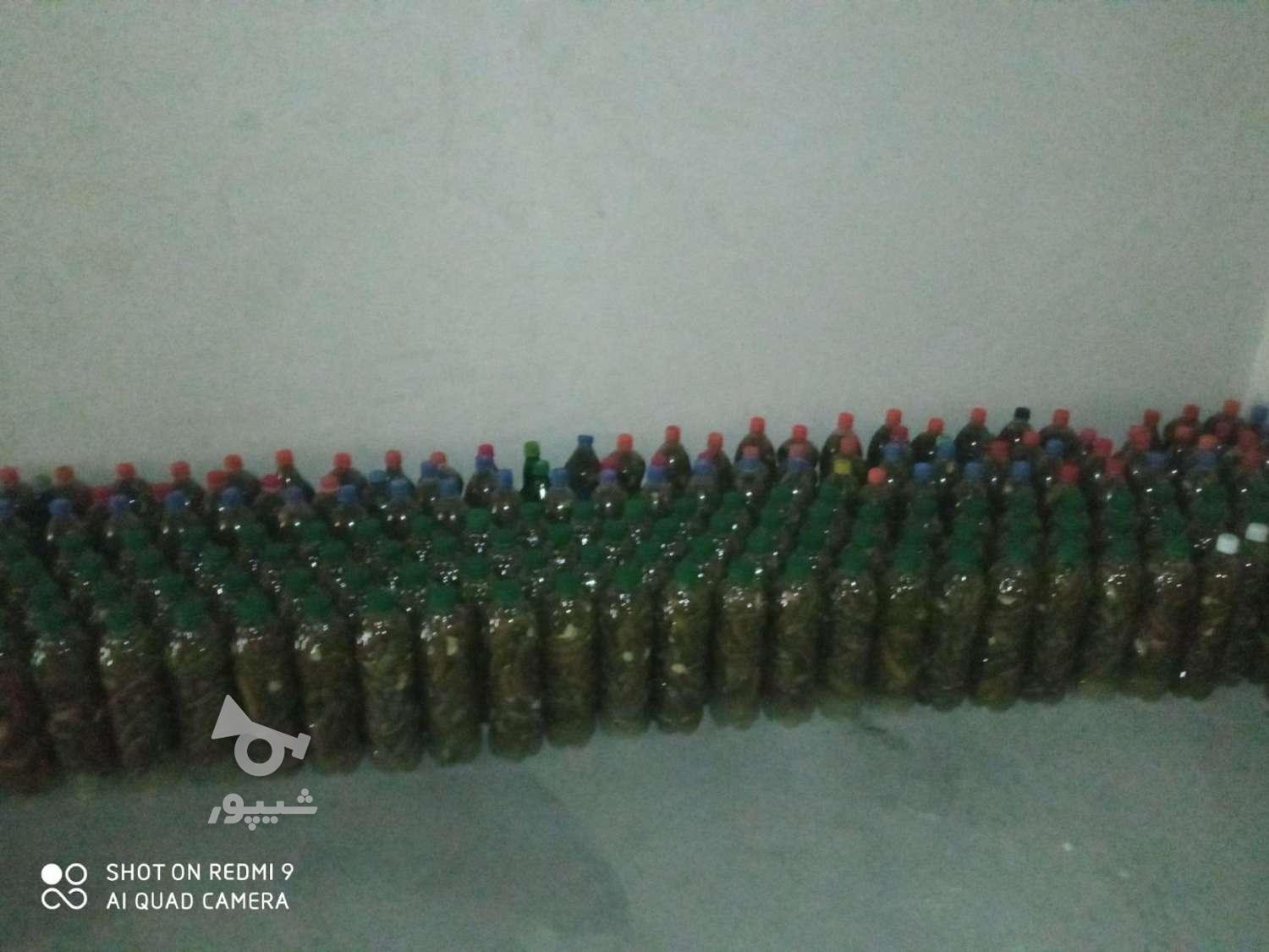 خیارشور اعلی بندانگشتی