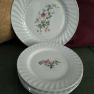 دیس وپیش دستی