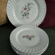 دیس وپیش دستی