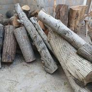 خرید انواع چوبهای باغی تر و خشک