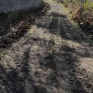 فروش فوری قیمت پاین پول نیاز