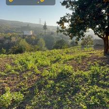 200 متر زمین داخل بافت تنگه لته