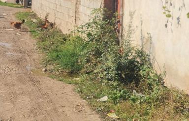 فروش خانه و کلنگی 400 متر در هولا - ذغالچال