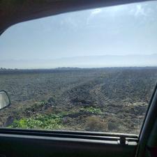 زمین کشاوزی روستای شاه تپه