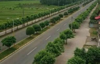 واجارگاه 185متر بر دوم بلوارمسکونی