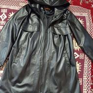 کا پشن چرم کوتاه