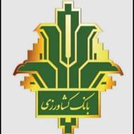 فروش 300 میلیون وام کشاورزی