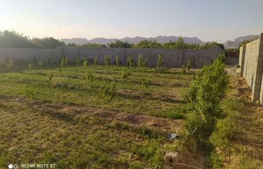 باغ ازدم چک