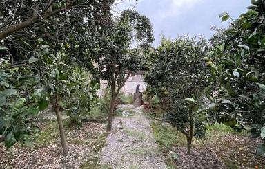 زمین مسکونی 220 متری در هره پاک