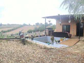 فروش زمین باغی