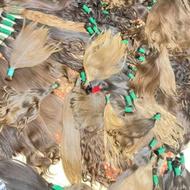 خریدار موی طبیعی بانوان