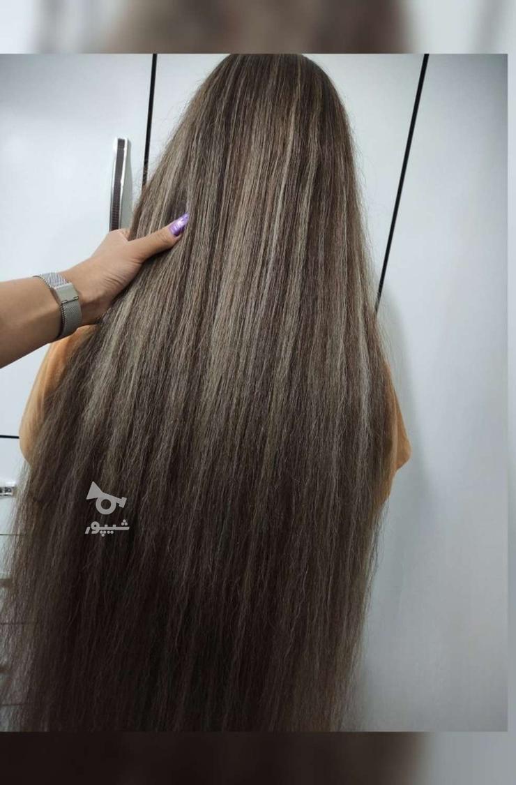 تخفیف خدمات رنگ و لایت