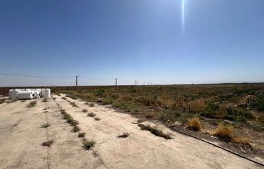 6 هکتار زمین محصور برای اجاره