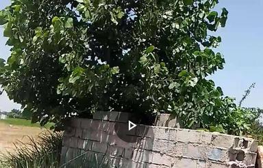 یک زمین نزدیک به بافت در کوچه کارخونه گلرنگ