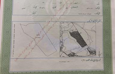 281 متر زمین جهاد کشاورزی رحمتیه