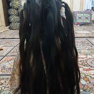 خریدار مو خام بور و رنگی