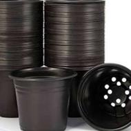 حدود چهل هزار عدد گلدان ژله ای12