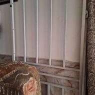 حفاظ در ورودی منزل سالم وتمیز