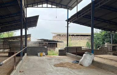 اجاره صنعتی 400 متر در خیابان جویبار