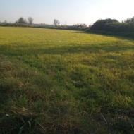 زدن علف با دستگاه