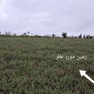 1200متر زمین بر جاده گاز برق آب در منطقه هزار جریب