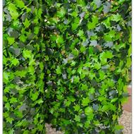 فروش عمده و خرده فنس انگوری و رشته ای و ....