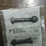 پیچ شاتون آمریکایی