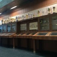 وکیل پایه یک دادگستری