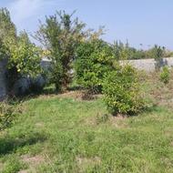 فروش زمین مسکونی 1000 متر در دولت آباد