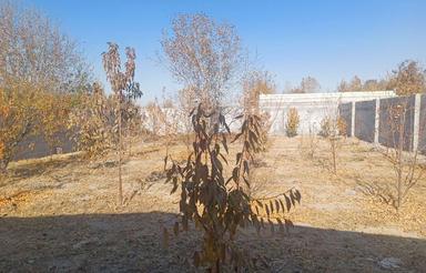 باغچه 500 متری چهاردیواری فلاورجان