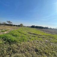 فروش زمین کشاورزی 1000 متر در داراب دین روشن