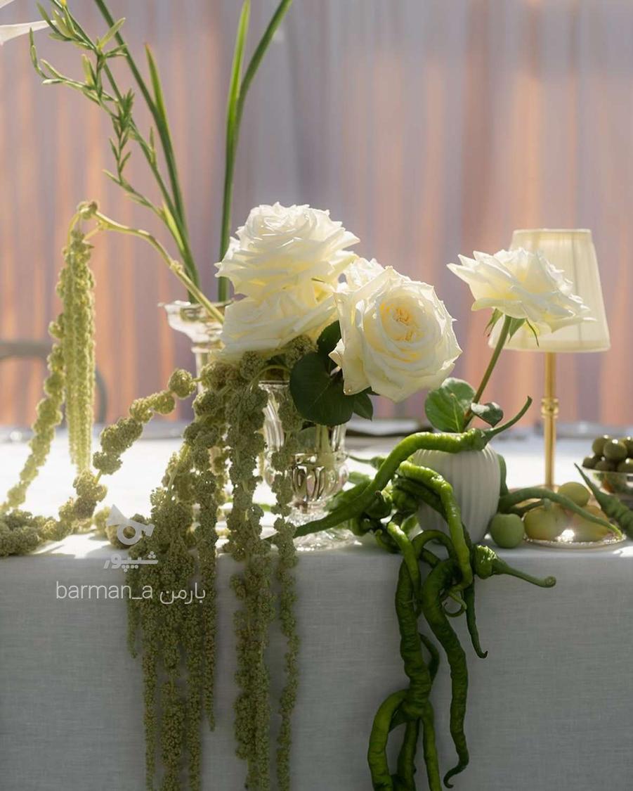 تشریفات صفر تا صد مراسم تولد و مهمانی