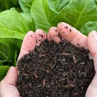 کمپوست گیاهی (پیت)