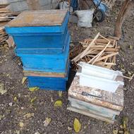 کندو و قاب زنبور عسل