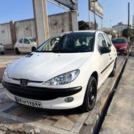 206 مدل 1401 بی رنگ 50 تا کار خشک