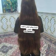 خریدار موی طبیعی