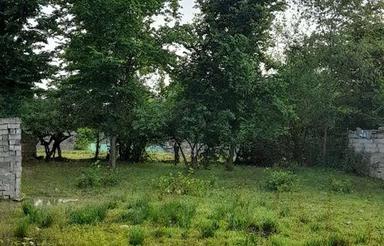 زمین575متری قابل تفکیک و سنددار در لیش