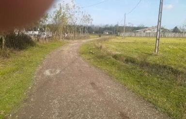 زمین مسکونی ویو بسیار عالی نقد و اقساط