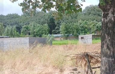 فروش 420 متر زمین تجاری مسکونی بر اصلی