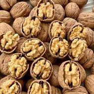 گردو مغز سفید روغن دار روستای کهرود مغز سفید روغن دار