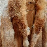 پالتو پوست بسیار شیک