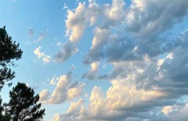 فروش زمین مسکونی 140 متر با 16 متر بر در جمنان