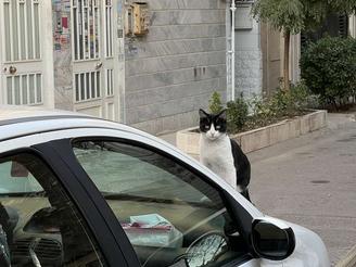 خرید خانه حیاط دار