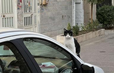 خرید خانه حیاط دار