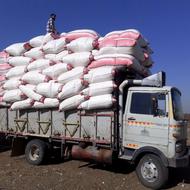 فروش کاه گندم جو