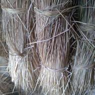 200عددکلوش باقیمت توافقی