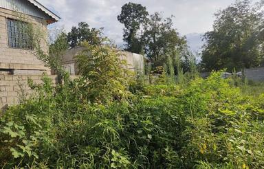 620 متر زمین در گیلان پره سر