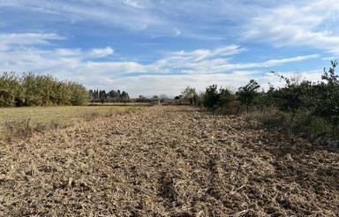 فروش زمین کشاورزی 2500 متر در ولشکلا