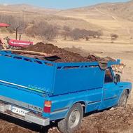 کود حیوانی درجه یک